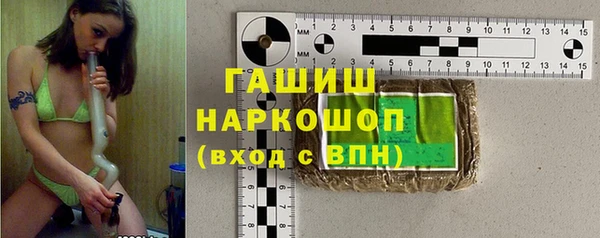 гашик Алексеевка